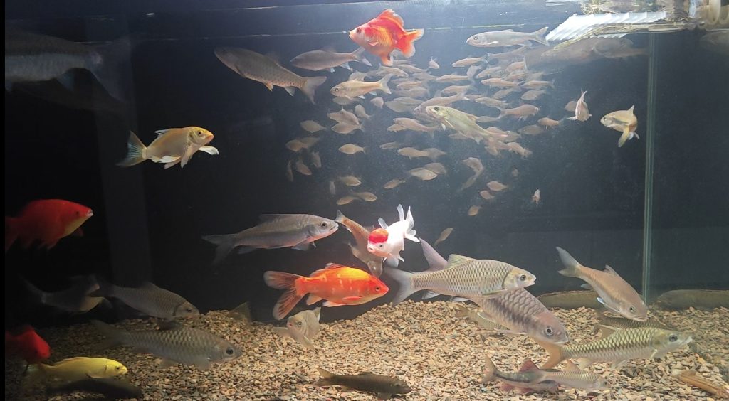 Screenshot_2026-04-27-18-39-50-025_com.miui.gallery-edit