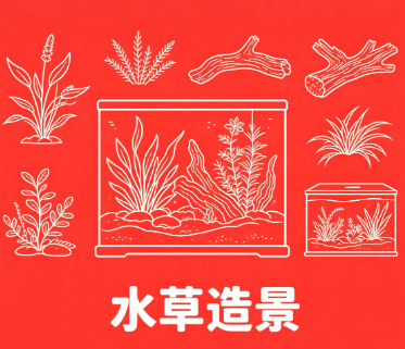 水草、造景-梧桐生花-黔东南州人民的渔乐圈